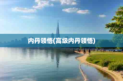 内丹领悟(高级内丹领悟)