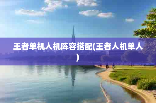 王者单机人机阵容搭配(王者人机单人)