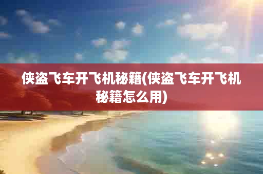 侠盗飞车开飞机秘籍(侠盗飞车开飞机秘籍怎么用)