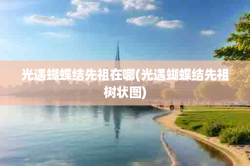 光遇蝴蝶结先祖在哪(光遇蝴蝶结先祖树状图)