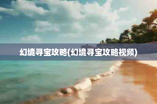 幻境寻宝攻略(幻境寻宝攻略视频)