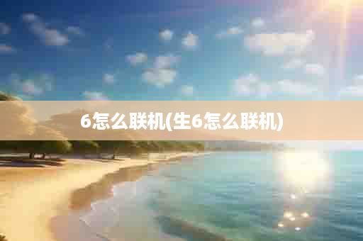 6怎么联机(生6怎么联机)