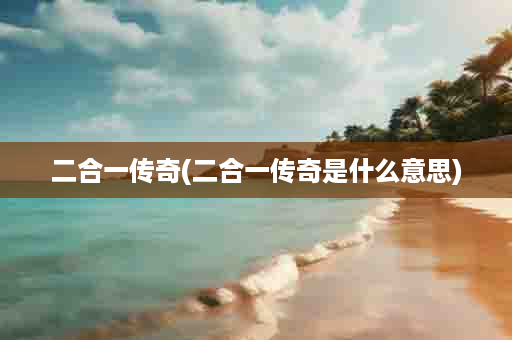 二合一传奇(二合一传奇是什么意思)