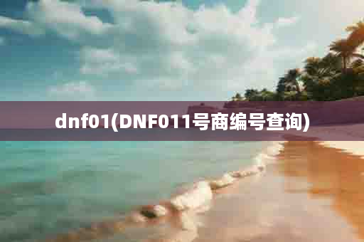 dnf01(DNF011号商编号查询)