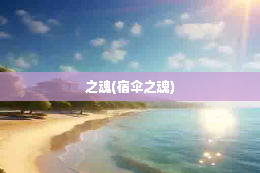 之魂(宿伞之魂)