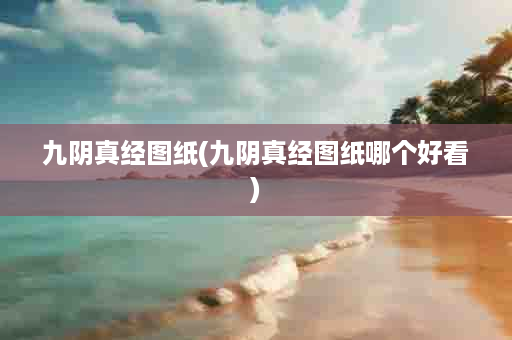 九阴真经图纸(九阴真经图纸哪个好看)