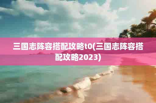 三国志阵容搭配攻略t0(三国志阵容搭配攻略2023)