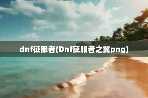 dnf征服者(Dnf征服者之翼png)