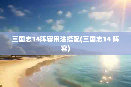 三国志14阵容用法搭配(三国志14 阵容)