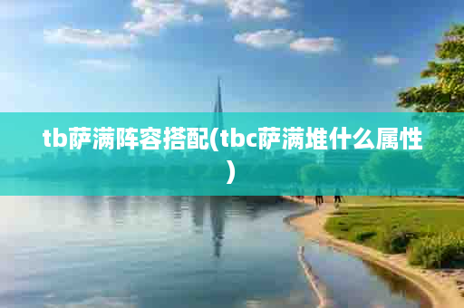 tb萨满阵容搭配(tbc萨满堆什么属性)