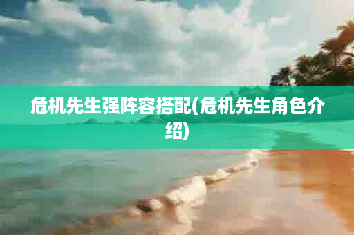 危机先生强阵容搭配(危机先生角色介绍)