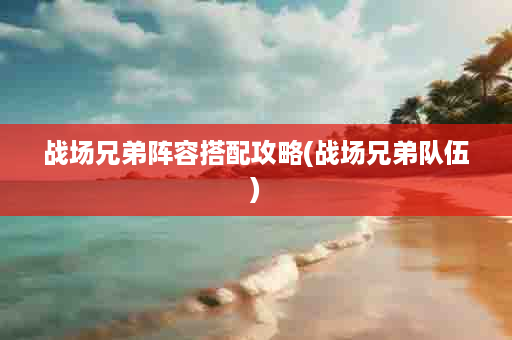 战场兄弟阵容搭配攻略(战场兄弟队伍)