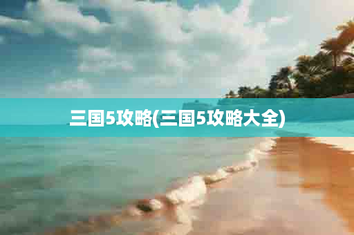 三国5攻略(三国5攻略大全)
