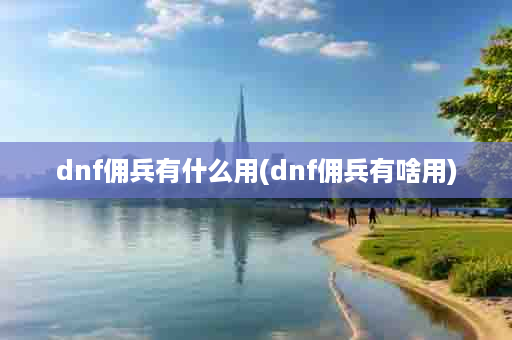 dnf佣兵有什么用(dnf佣兵有啥用)