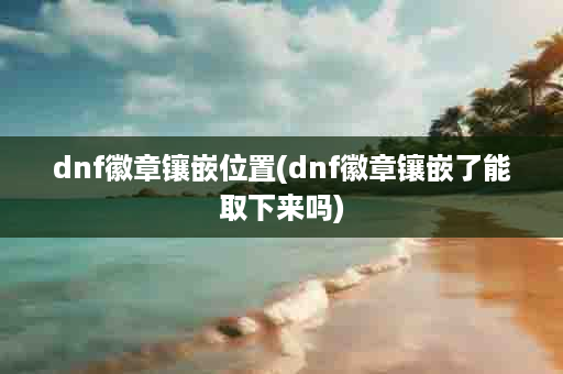 dnf徽章镶嵌位置(dnf徽章镶嵌了能取下来吗)