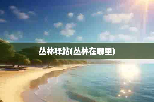 丛林驿站(丛林在哪里)