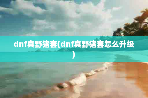 dnf真野猪套(dnf真野猪套怎么升级)