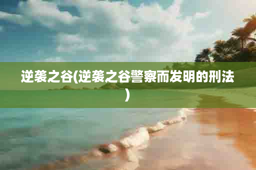 逆袭之谷(逆袭之谷警察而发明的刑法)