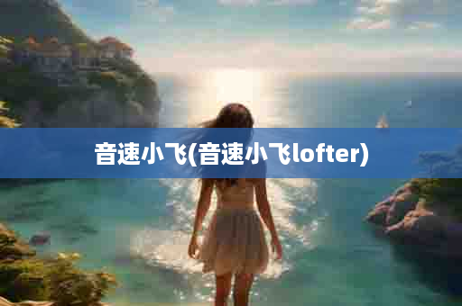 音速小飞(音速小飞lofter)