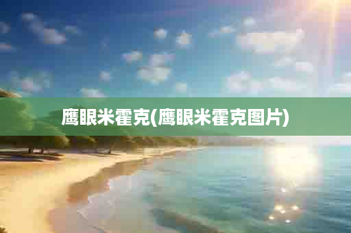 鹰眼米霍克(鹰眼米霍克图片)
