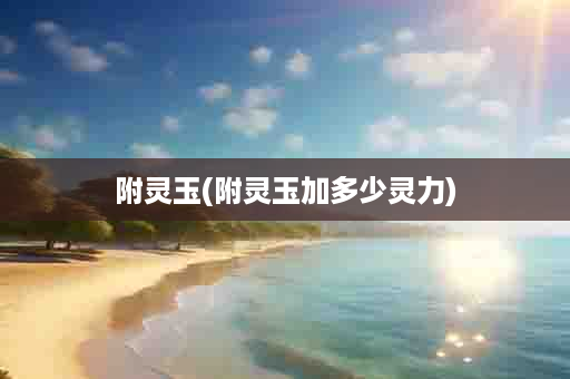 附灵玉(附灵玉加多少灵力)