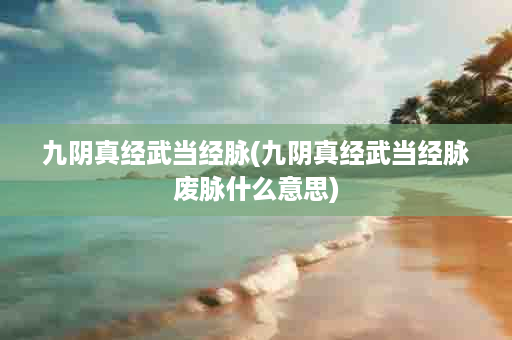 九阴真经武当经脉(九阴真经武当经脉废脉什么意思)