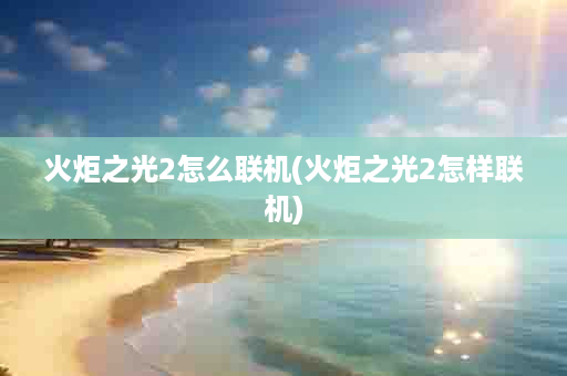 火炬之光2怎么联机(火炬之光2怎样联机)