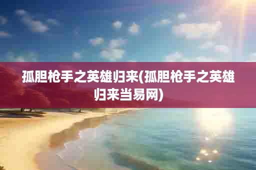 孤胆枪手之英雄归来(孤胆枪手之英雄归来当易网)