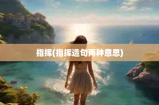 指挥(指挥造句两种意思)
