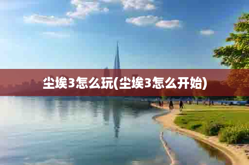 尘埃3怎么玩(尘埃3怎么开始)