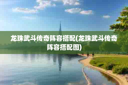 龙珠武斗传奇阵容搭配(龙珠武斗传奇阵容搭配图)