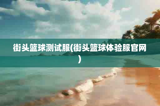 街头篮球测试服(街头篮球体验服官网)