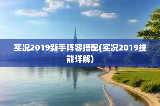 实况2019新手阵容搭配(实况2019技能详解)