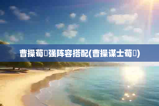曹操荀彧强阵容搭配(曹操谋士荀彧)