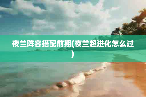 夜兰阵容搭配前期(夜兰超进化怎么过)