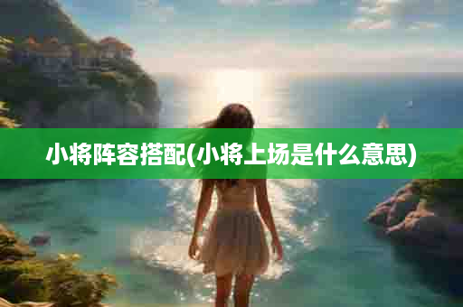 小将阵容搭配(小将上场是什么意思)