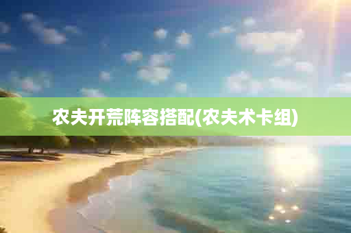 农夫开荒阵容搭配(农夫术卡组)