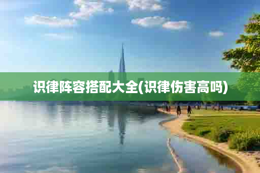 识律阵容搭配大全(识律伤害高吗)