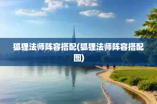 狐狸法师阵容搭配(狐狸法师阵容搭配图)