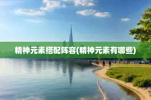 精神元素搭配阵容(精神元素有哪些)