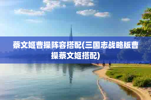 蔡文姬曹操阵容搭配(三国志战略版曹操蔡文姬搭配)