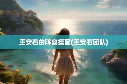 王安石的阵容搭配(王安石团队)