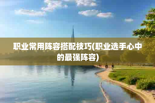 职业常用阵容搭配技巧(职业选手心中的最强阵容)