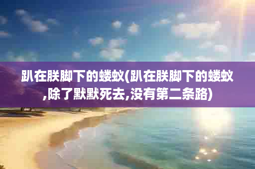 趴在朕脚下的蝼蚁(趴在朕脚下的蝼蚁,除了默默死去,没有第二条路)