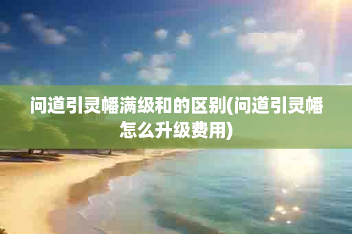 问道引灵幡满级和的区别(问道引灵幡怎么升级费用)