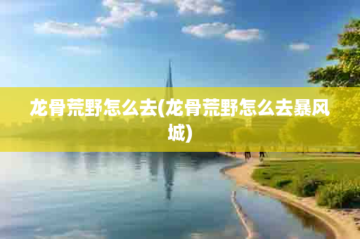 龙骨荒野怎么去(龙骨荒野怎么去暴风城)
