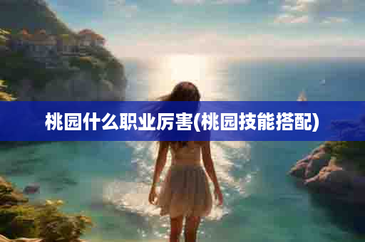 桃园什么职业厉害(桃园技能搭配)