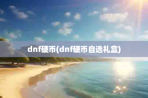 dnf硬币(dnf硬币自选礼盒)