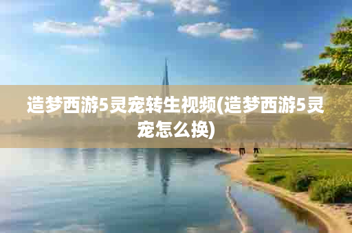 造梦西游5灵宠转生视频(造梦西游5灵宠怎么换)