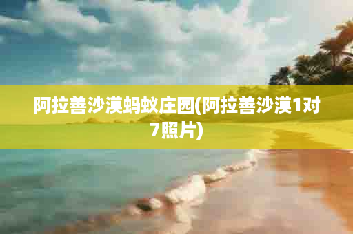 阿拉善沙漠蚂蚁庄园(阿拉善沙漠1对7照片)